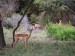 Lake Manyara